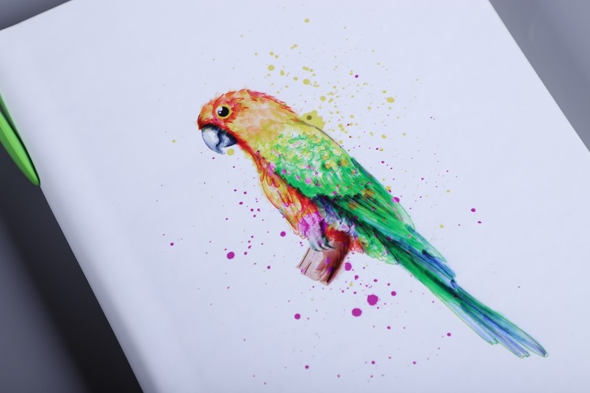 product-850-566 product-850-566